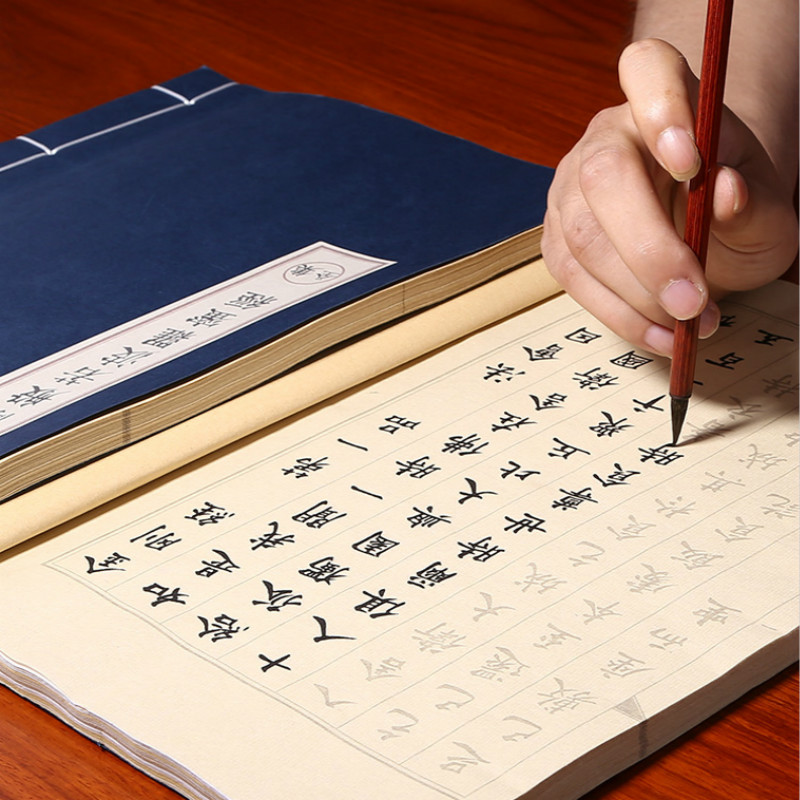 Brush Pen Copybooks Chinese Ch - Chinese Calligraphy Practice Book 评论和价格