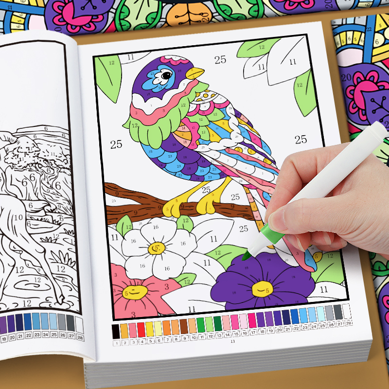 Color by Number for Adults Col - Adult Coloring Book Stress Relief 评论和价格