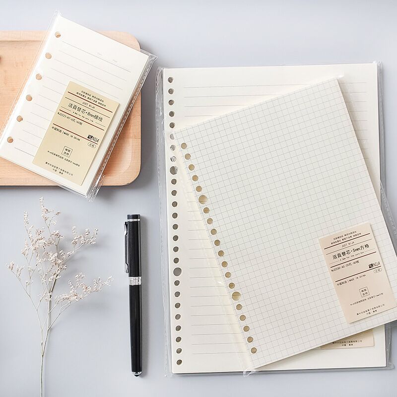 A5 B5 20Holes Loose-Leaf Noteb - A5 Spiral Dotted Grid Notebook 评论和价格